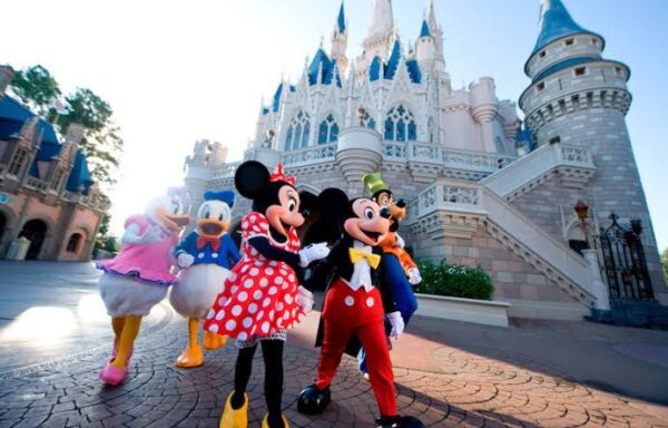 1 Day Walt Disney World